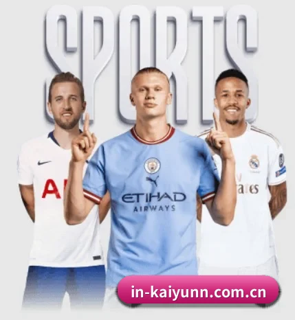 in-kaiyunn.com.cn的方向 - 长期内容价值积累